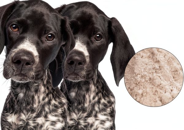 Goat Milk for Dogs Wonder Paws Powder Probiotic-5